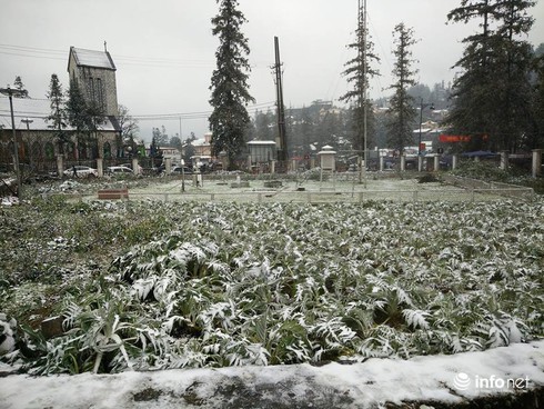 Tuyết đã rơi ngập tràn Sapa - ảnh 12