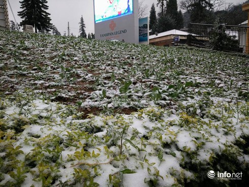 Tuyết đã rơi ngập tràn Sapa - ảnh 3