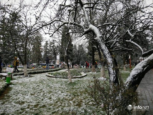 Tuyết đã rơi ngập tràn Sapa - ảnh 6