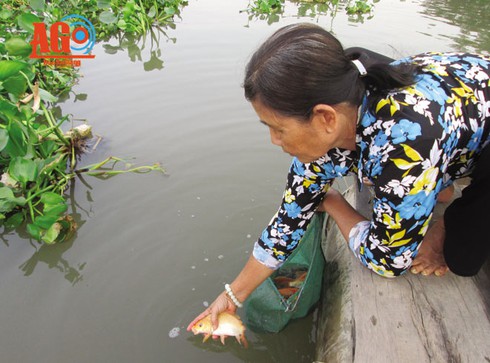 Nhớ ngày “ông Táo về trời” - ảnh 1