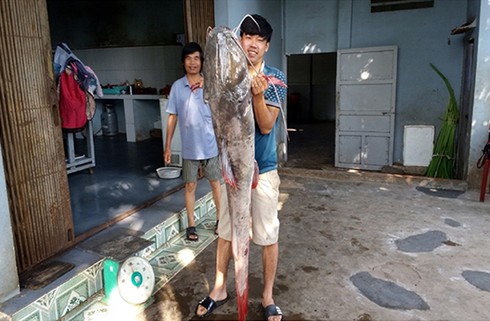 Câu được cá lăng đuôi đỏ quý hiếm cực khủng - ảnh 2