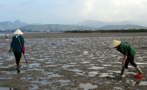 Đi đào sá sùng ở Quan Lạn - ảnh 1