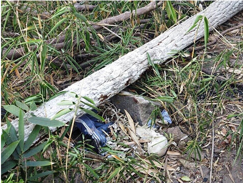 Tánh Linh: Phát hiện bộ xương người trong rừng Suối Kiết - ảnh 1