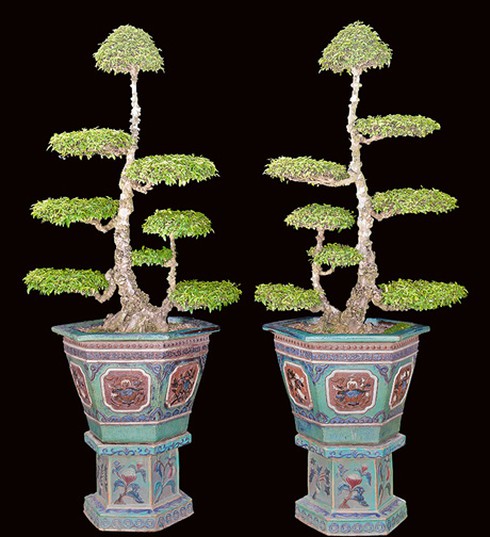 Kiểng cổ lưỡng diện mang đậm giá trị văn hóa dân gian vùng Gò Công - ảnh 1