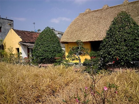 Những ngôi nhà mái rạ ở 'thủ phủ' gạo tám - ảnh 2