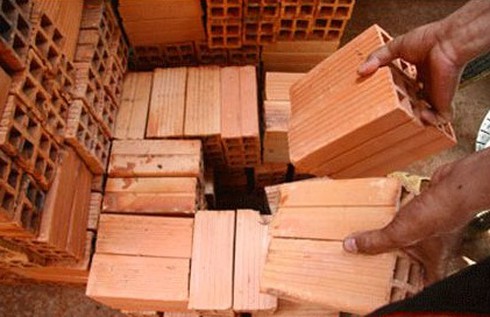 Dùng gạch ném chết người, lãnh 12 năm tù - ảnh 1