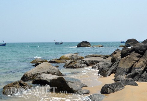 Thợ săn nhum vào mùa kiếm nửa triệu mỗi ngày - ảnh 5