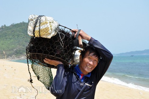 Thợ săn nhum vào mùa kiếm nửa triệu mỗi ngày - ảnh 1