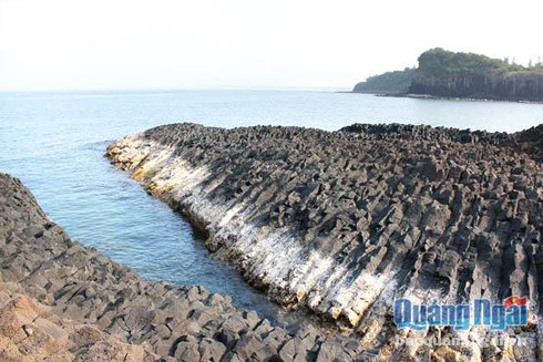 Trong xanh Gành Yến - ảnh 1