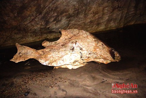 Kỳ thú với 'cá chép khổng lồ hoá thạch' ở Hang Mó miền Tây xứ Nghệ - ảnh 1