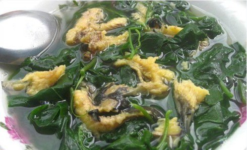 Rau mồng tơi - Món ngon, vị thuốc tốt ngày hè - ảnh 1