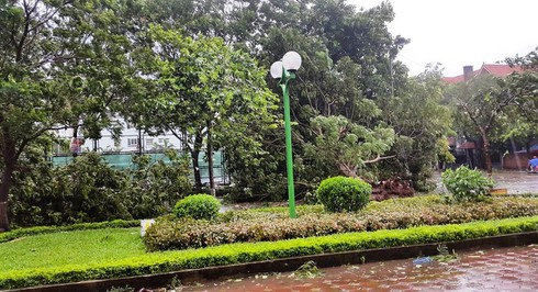 Bão số 1 đổ bộ đất liền: Hà Nội cây cối đổ đầy đường, Bắc bộ mưa to gió lớn - ảnh 6