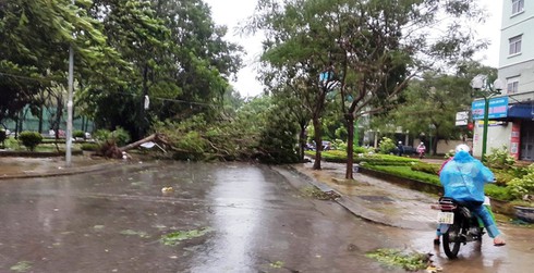 Bão số 1 đổ bộ đất liền: Hà Nội cây cối đổ đầy đường, Bắc bộ mưa to gió lớn - ảnh 7