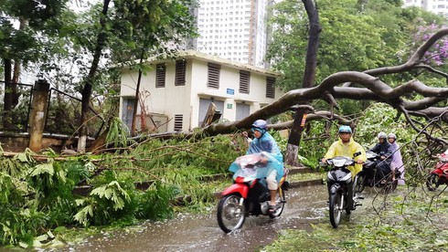 Bão số 1 đổ bộ đất liền: Hà Nội cây cối đổ đầy đường, Bắc bộ mưa to gió lớn - ảnh 3