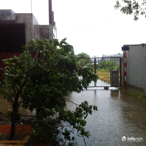 Hà Nội mưa một đêm, người dân
