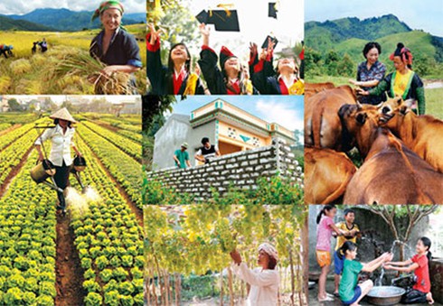 Áp dụng chính sách giảm nghèo theo tiêu chí thu nhập - ảnh 1