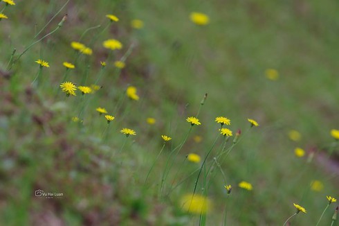 Tin không khí lạnh mới nhất 30/11 và dự báo thời tiết 10 ngày tới - ảnh 1