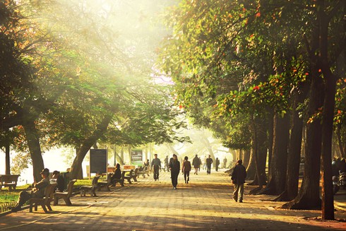 Dự báo thời tiết ngày mai 4/12: Hà Nội không mưa, trời nắng ấm - ảnh 1