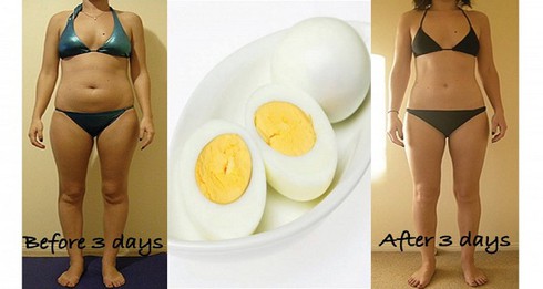 Công thức giảm cân siêu tốc nhờ ăn trứng - ảnh 1
