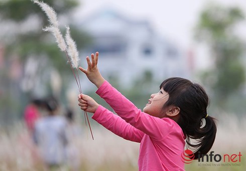 Dự báo thời tiết 6/12 và cảnh báo lũ khẩn cấp trên các sông ở Quảng Ngãi - ảnh 1