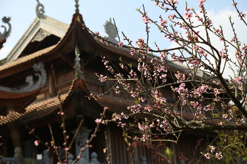 Đến