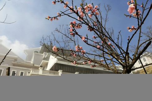 Đến