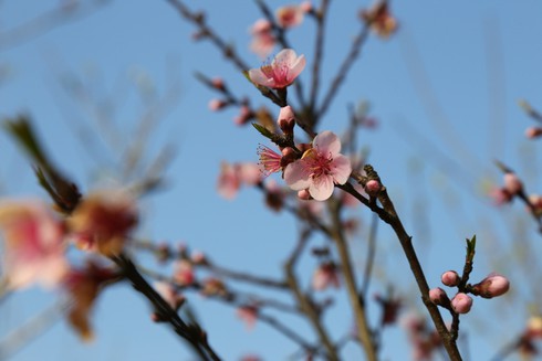 Đến