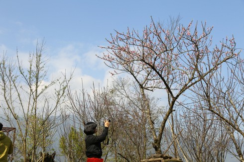 Đến