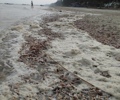 Nghỉ lễ, phát hoảng với rác thải ngập tràn bãi biển Trà Cổ - ảnh 2