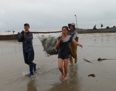 Ngư dân Trà Cổ đánh bắt được cá mập? - ảnh 11