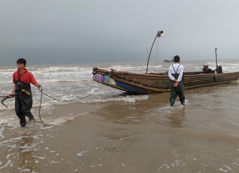 Ngư dân Trà Cổ đánh bắt được cá mập? - ảnh 3