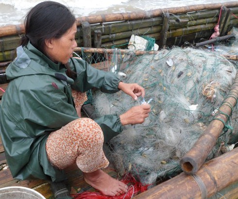 Ngư dân Trà Cổ đánh bắt được cá mập? - ảnh 4