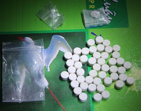 Mang ma túy đi tặng sinh nhật gặp công an - ảnh 2