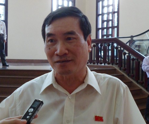 Mang thai hộ không quản lý chặt sẽ trở thành đẻ thuê - ảnh 1