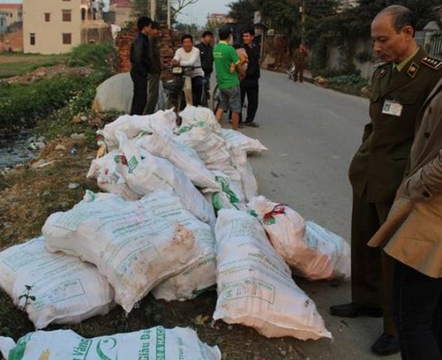 Phát hiện kho xương không rõ nguồn gốc - ảnh 1