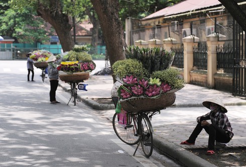 Thanh tao mùa sen Hà Nội - ảnh 1