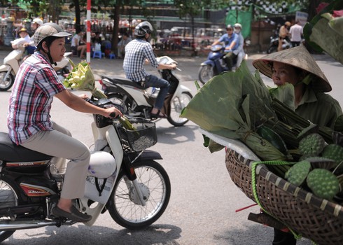 Thanh tao mùa sen Hà Nội - ảnh 4