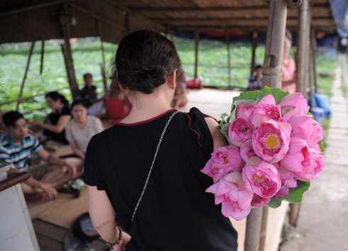 Thanh tao mùa sen Hà Nội - ảnh 6