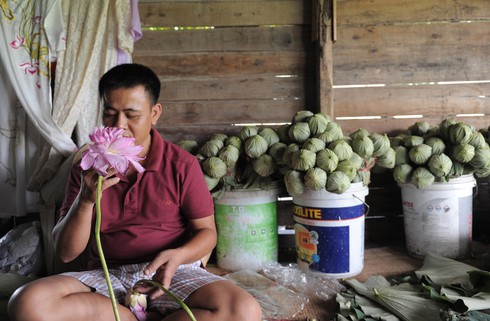 Thanh tao mùa sen Hà Nội - ảnh 8