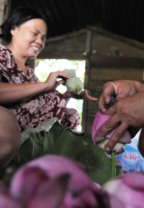 Thanh tao mùa sen Hà Nội - ảnh 9