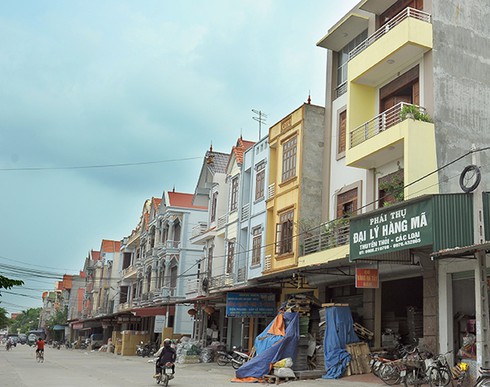 Làng vàng mã Đông Hồ vào mùa - ảnh 1