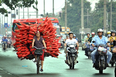 Làng vàng mã Đông Hồ vào mùa - ảnh 11