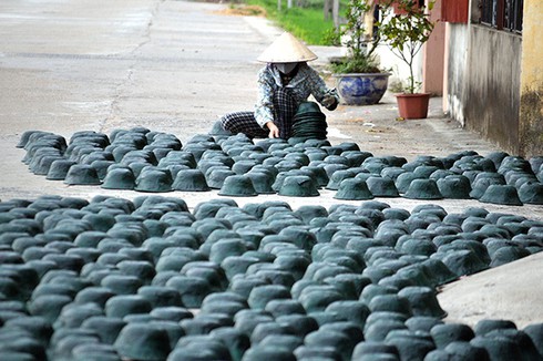 Làng vàng mã Đông Hồ vào mùa - ảnh 5