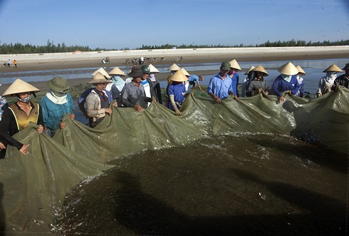 Sáng sớm trên biển Tĩnh Gia - ảnh 2