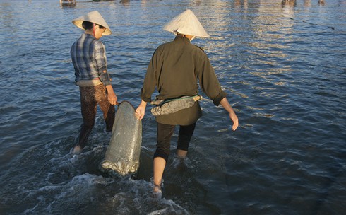 Sáng sớm trên biển Tĩnh Gia - ảnh 10