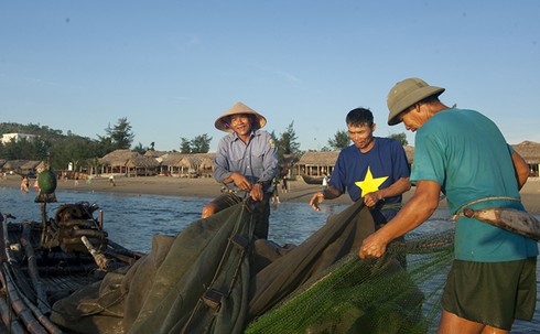 Sáng sớm trên biển Tĩnh Gia - ảnh 11
