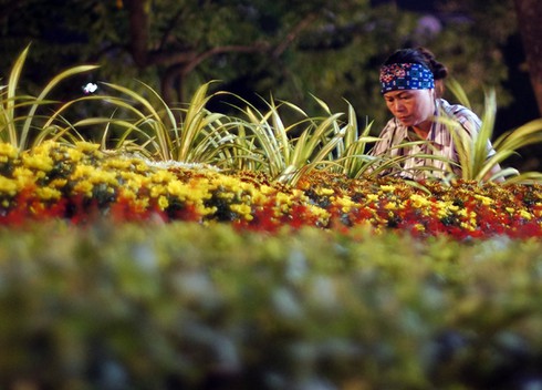 Hà Nội lộng lẫy chào đón 60 năm ngày giải phóng Thủ đô 10/10 - ảnh 11