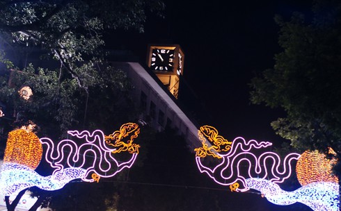 Hà Nội lộng lẫy chào đón 60 năm ngày giải phóng Thủ đô 10/10 - ảnh 8