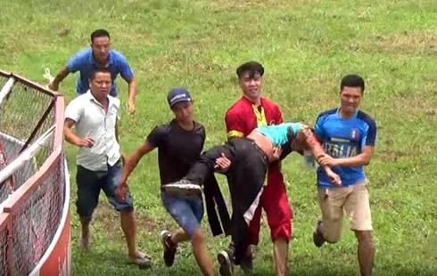 Sự cố trâu húc chết người tại lễ hội chọi trâu Đồ Sơn 2017: Ban tổ chức nói gì? - ảnh 1