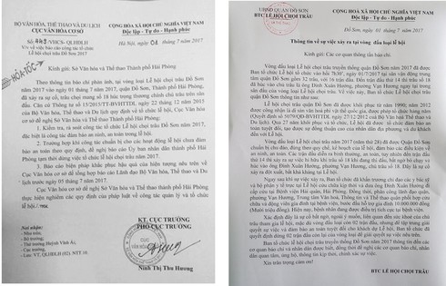 Sự cố trâu húc chết người tại lễ hội chọi trâu Đồ Sơn 2017: Ban tổ chức nói gì? - ảnh 2